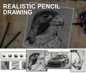 Realistic Pencil Drawing
